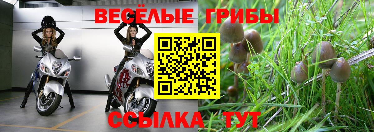 Псилоцибиновые грибы MAGIC MUSHROOMS Нижний Новгород