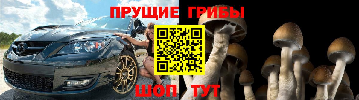 Псилоцибиновые грибы мицелий  Вход с VPN  Нижний Новгород 